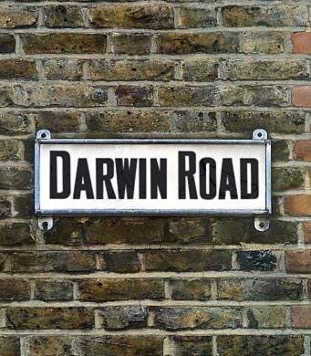 Darwin Road